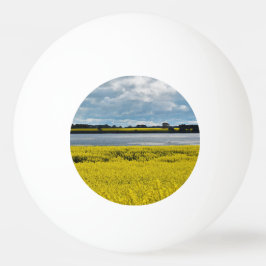 ドラマチック・ストリーサム美しい 卓球ボール