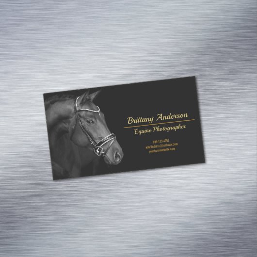 ドラマティック白黒金ゴールド馬写真家 マグネット名刺 (インサイチュ)
