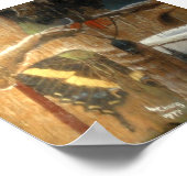 ドラマー違う ポスター (角)