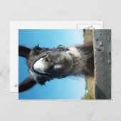 ドラマ ラマ ポストカード (正面/裏面)