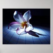 ドラマ(edt) ポスター (正面)