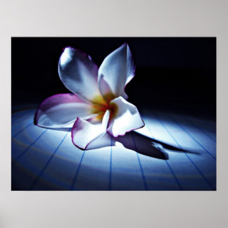 ドラマ(edt) ポスター