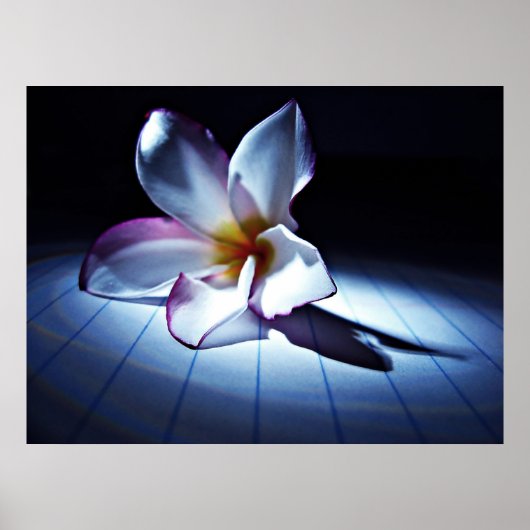 ドラマ(edt) ポスター (正面)