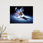 ドラマ(edt) ポスター (キッチン)