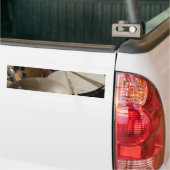 ドラムセット バンパーステッカー (トラック上)