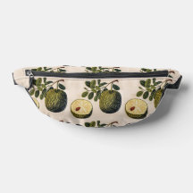 ドリアンの果実と葉