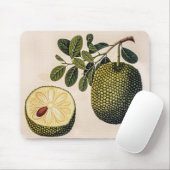 ドリアンの果実と葉 マウスパッド (マウス)