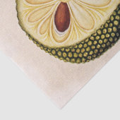 ドリアンの果実と葉 薄葉紙 (詳細)