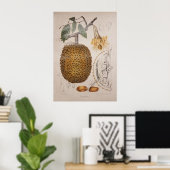 ドリアン果実ヴィンテージ植物性イラストレーション ポスター (ホームオフィス)