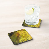 ドリアン果実 コースター (右側)