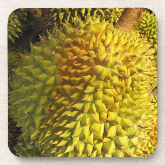 ドリアン果実 コースター (正面)