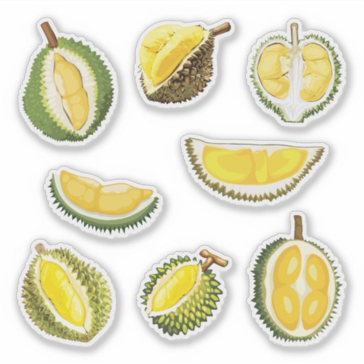 ドリアン果実 シール (正面)