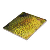 ドリアン果実 タイル (側面)