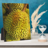 ドリアン果実 フォトプラーク (側面)