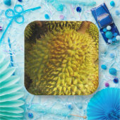 ドリアン果実 ペーパープレート (パーティー)