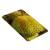 ドリアン果実 マグネット (右側)