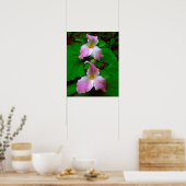 ドリウムワイルドフラワー ポスター (キッチン)