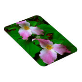 ドリウムワイルドフラワー マグネット (右側)