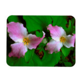 ドリウムワイルドフラワー マグネット (横)