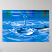 ドリッ独身のプ ポスター (正面)