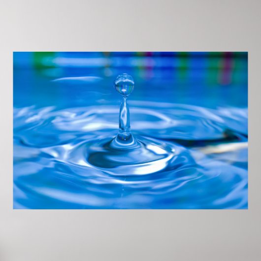 ドリッ独身のプ ポスター (正面)