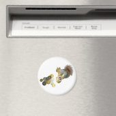 ドリデルリス磁石 マグネット (インサイチュ (食洗機))