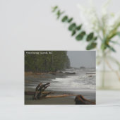 ドリフトウッドバンクーバー島(紀元前) ポストカード (スタンド正面)