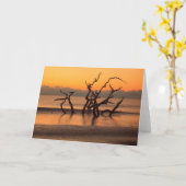 ドリフトウッドビーチアットサンライズジキル島ジョージア カード (黄色い花)