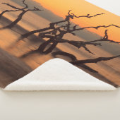 ドリフトウッドビーチアットサンライズジキル島ジョージア シェルパブランケット (3/4)