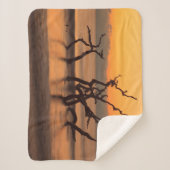 ドリフトウッドビーチアットサンライズジキル島ジョージア シェルパブランケット (正面)