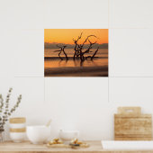 ドリフトウッドビーチアットサンライズジキル島ジョージア ポスター (キッチン)