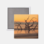 ドリフトウッドビーチアットサンライズジキル島ジョージア マグネット (正面/裏面)