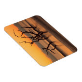 ドリフトウッドビーチアットサンライズジキル島ジョージア マグネット (右側)