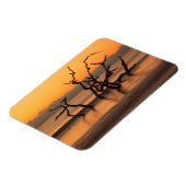 ドリフトウッドビーチアットサンライズジキル島ジョージア マグネット (左側)