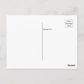 ドリフトウッドビーチジキル島ジョージア葉書 ポストカード (裏面)