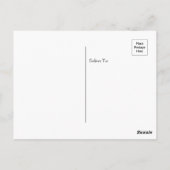 ドリフトウッドビーチジキル島ジョージア ポストカード (裏面)