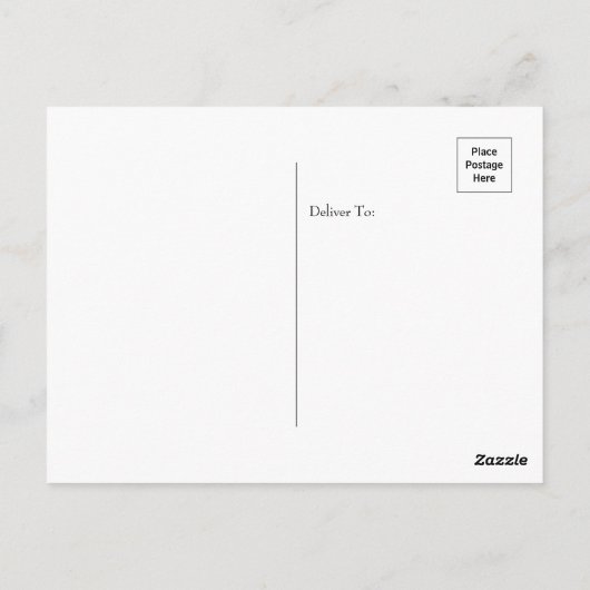 ドリフトウッドビーチジキル島ジョージア ポストカード (裏面)