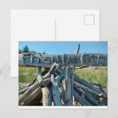 ドリフトウッドフレンドシップビーチシーン ポストカード (正面/裏面)