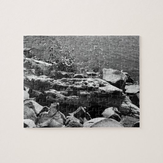 ドリフトウッド ジグソーパズル (横)