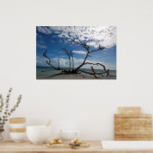 ドリフトウッド ポスター (キッチン)