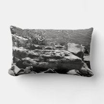 ドリフトウッド