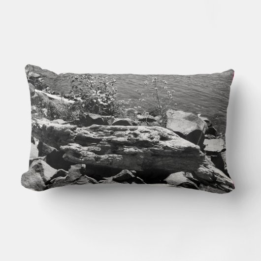 ドリフトウッド ランバークッション (正面)