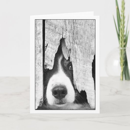 ドリフト カード (正面)