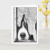 ドリフト カード (黄色い花)