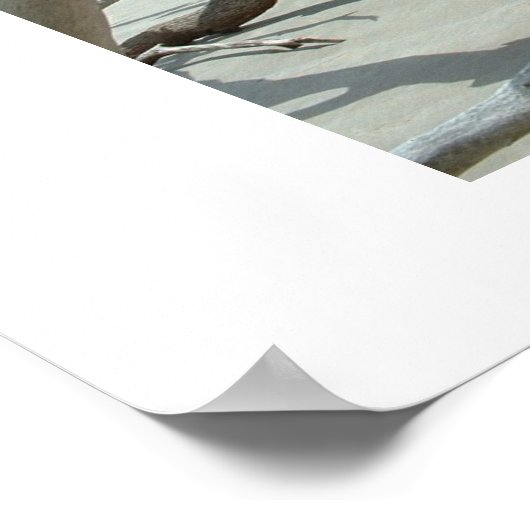 ドリフト ポスター (角)