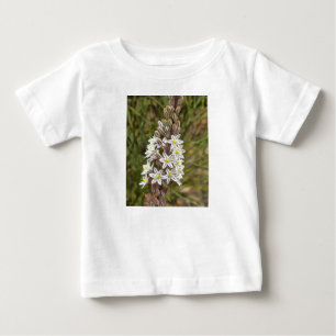 ドリミアマリティマまたはアイランドオニオンアート ベビーTシャツ