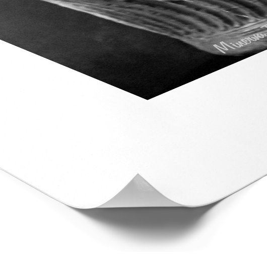 ドリンクファウンテンローマポスター ポスター (角)