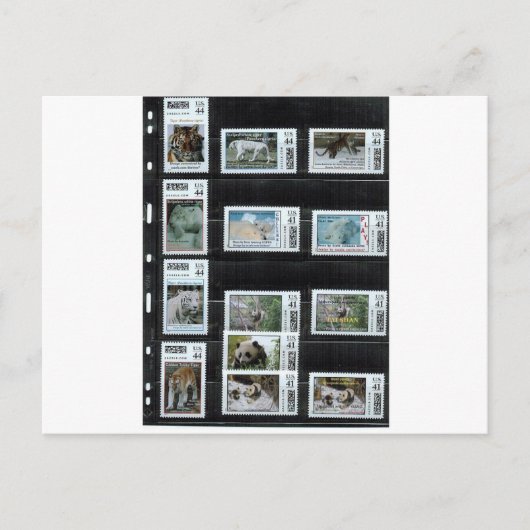 ドリンゴのZazzleカスタムスタンプ ポストカード (正面)