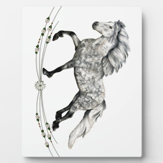 ドリンゴグレイアイスランドマーレグラ フォトプラーク (正面)