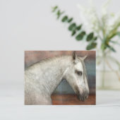 ドリンゴグレイアンダルシアンホースポートレート ポストカード (スタンド正面)